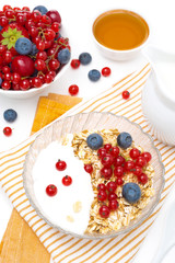 breakfast - muesli with berries, yogurt, honey and milk