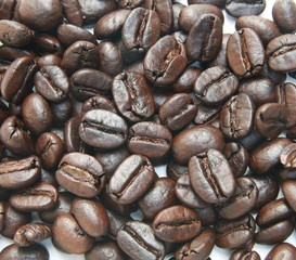 coffee beans background