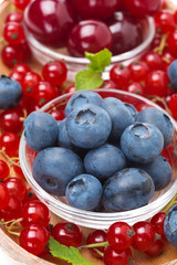 bowl of blueberries and assorted fresh berries, close-up