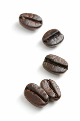 coffee bean