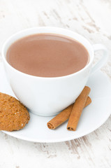 cup of cocoa with cinnamon and oatmeal cookies close-up