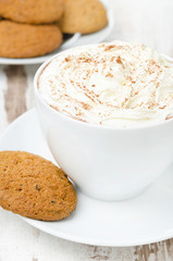 cup of cocoa with cinnamon and whipped cream, oatmeal cookies