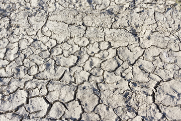 Cracked mud