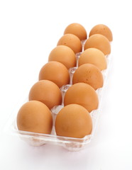 fresh eggs in plastic tray