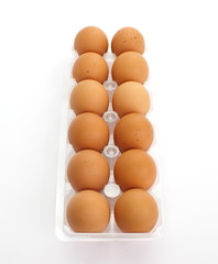 fresh eggs in plastic tray