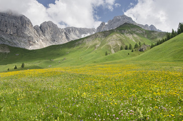 valle tra le dolomiti