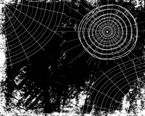 Spider Webs