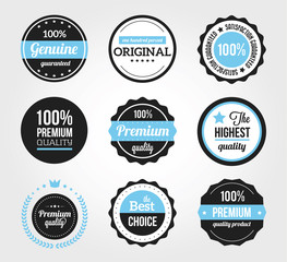 Set of Retro Vintage Badges and Labels Black Blue