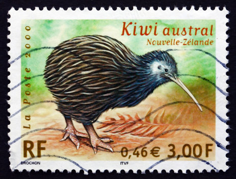 Postage stamp France 2000 Kiwi, Endangered Bird