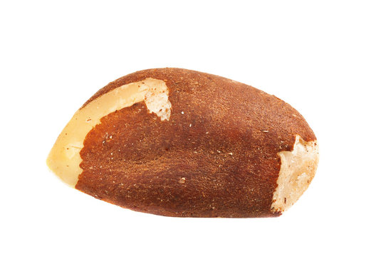 Brazil nut isolated