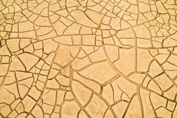 cracked soil in the desert