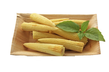 Quelques épis de maïs