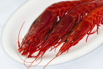 red Shrimp