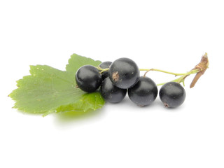 Berries of black currant.