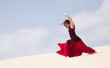 flamenco in the dunes - obrazy, fototapety, plakaty
