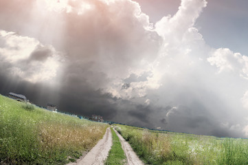 ground road in the summer field