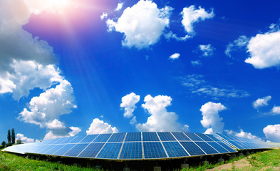 solar panels on the field