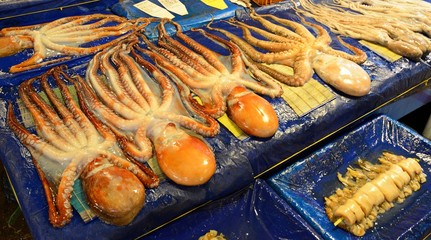Naklejka premium Fresh Octopus for Sale at a Market