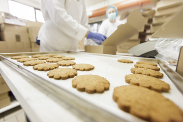 Cookies factory