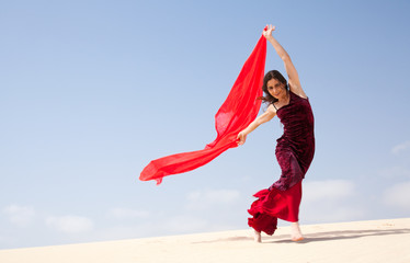 flamenco in the dunes