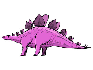 stegosaurus © Perysty
