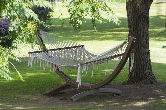 The Hammock