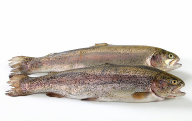 Two fresh trout
