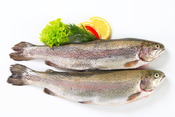 Two fresh trout