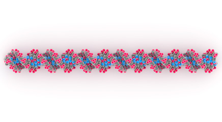 DNA or deoxyribonucleic acid