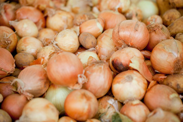 frische zwiebeln auf dem markt im sommer makro