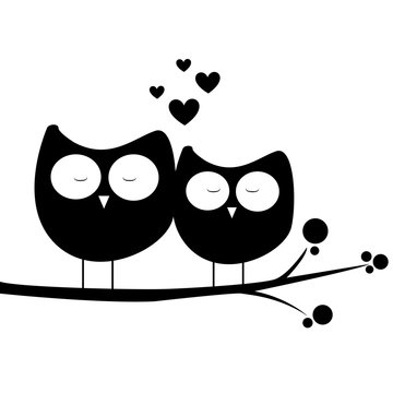 owl in love
