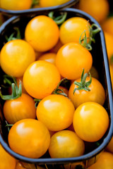 frische kleine gelbe tomaten auf dem markt im sommer