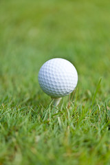 golfball und golfschläger tee auf grünem rasen nahaufnahme