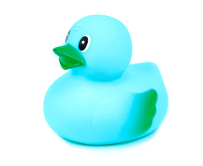 Blue rubber duck on white background