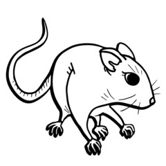 Mouse draw