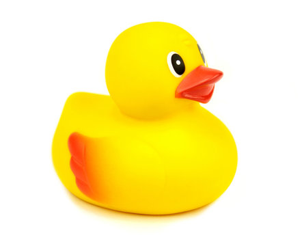 Yellow rubber duck on white background