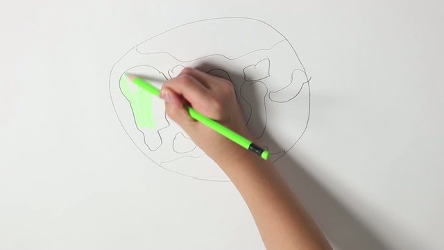child hand draws the earth