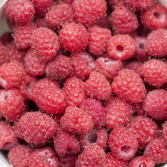 Sweet fresh raspberry fruit closeup view background