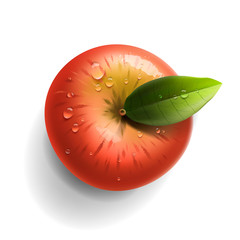 Red ripe apple isolated, vector Eps10 illustration.