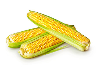 Fresh raw corn on a white background