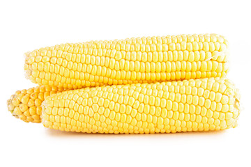 corn isolated