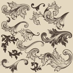 Fototapeta na wymiar Set of vector swirls in vintage style for design