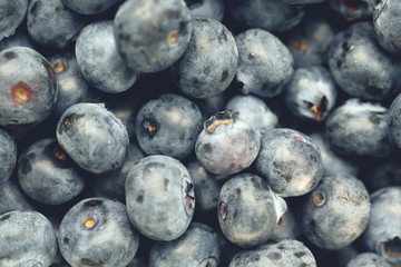 blueberries background