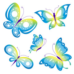 butterflies design vector