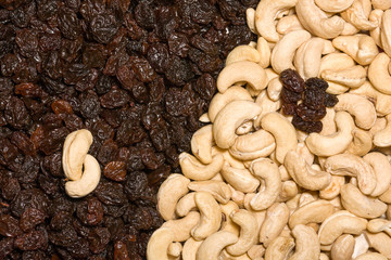 Cashew and black raisins