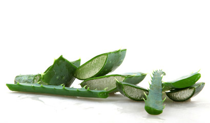Fototapeta premium Aloe vera plant 