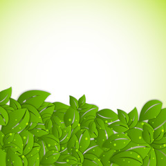 Abstract nature background with fresh green leaves.