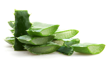 Fototapeta premium Aloe