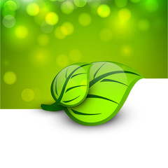 Save nature concept with shiny green leaf.