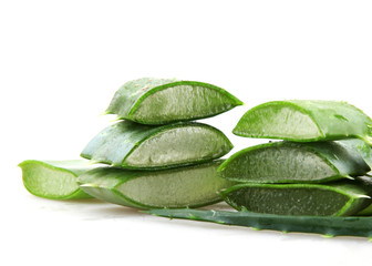 Fototapeta premium Aloe